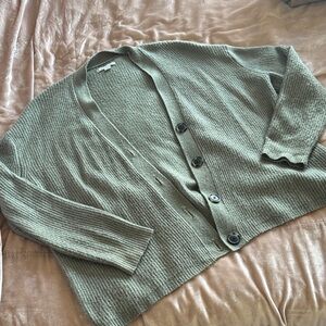 American Eagle Outfitters Sage Button-Up Cardigan